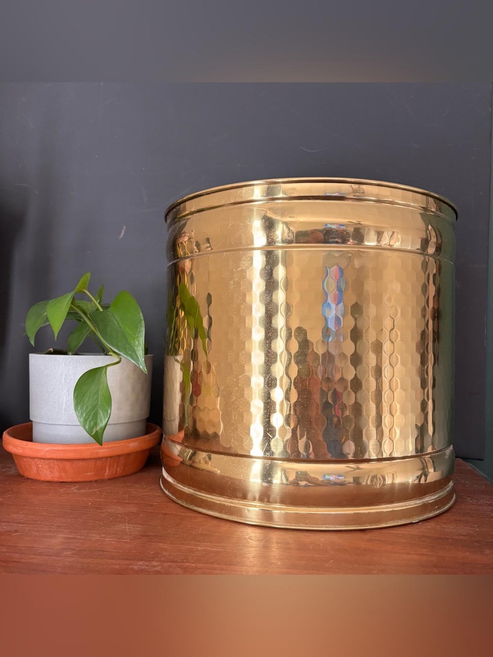 Hammered Brass Decorative Planter / Cachepot